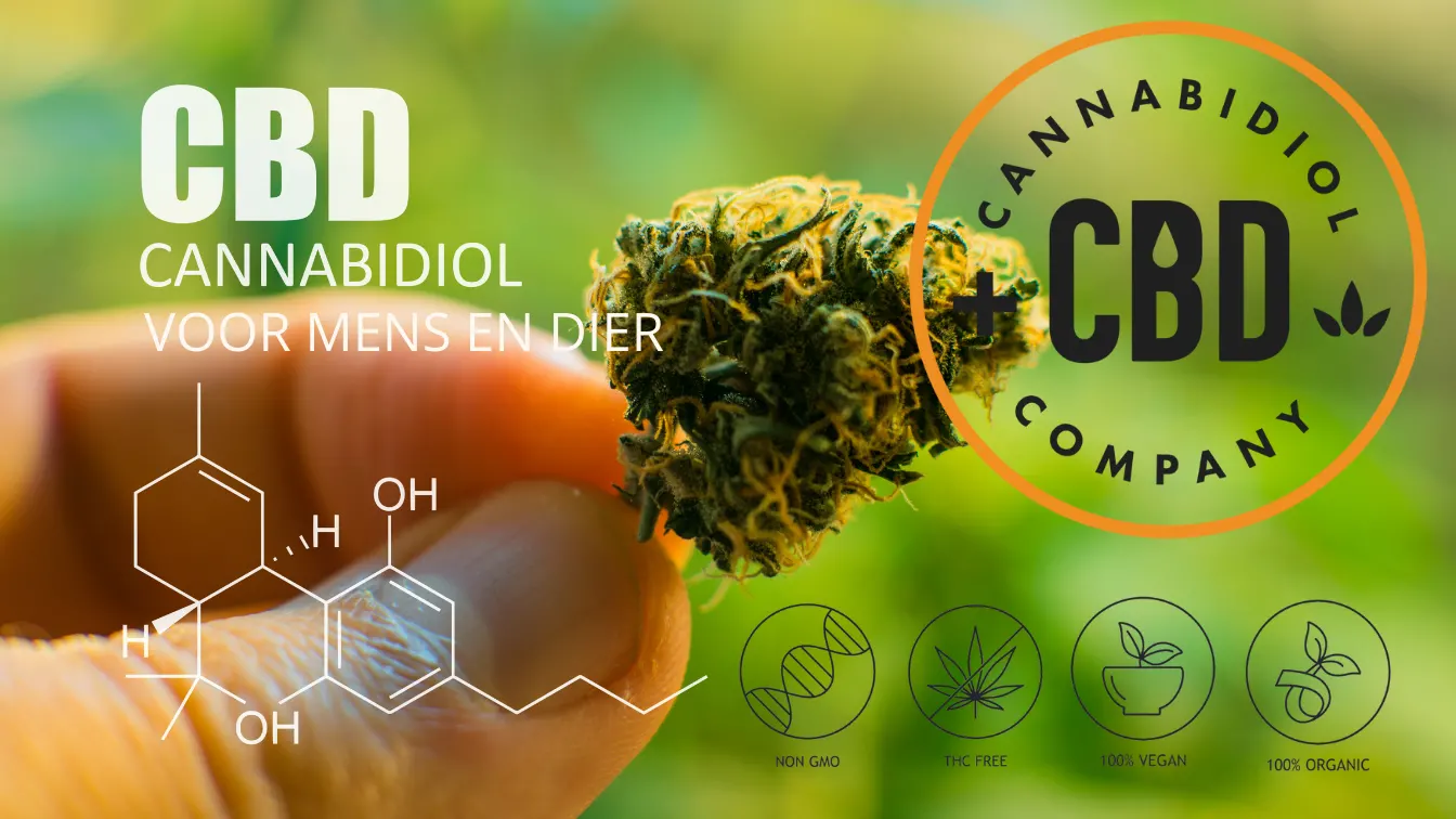 cannabidiol company cbd verzorging en supplementen voor mens en dier